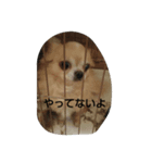 うちの動物達（個別スタンプ：4）