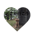 犬ですがなにか？③（個別スタンプ：5）