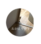 ハクの日々（個別スタンプ：8）