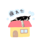 にゃんこ達のスタンプ（個別スタンプ：5）