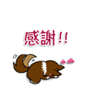 猫犬1（個別スタンプ：11）