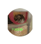 Maggie lovely Hamster 2（個別スタンプ：10）