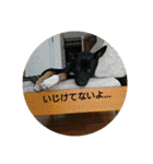 黒犬とこども（個別スタンプ：20）