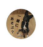 黒犬とこども（個別スタンプ：27）