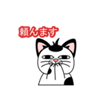 猫キャラ（個別スタンプ：1）