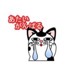 猫キャラ（個別スタンプ：7）