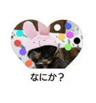 サビネコだってかわいいもん！（個別スタンプ：4）