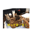 ぬことか色々、犬、ハリネズミ（個別スタンプ：2）