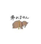 帰りたい柴犬（個別スタンプ：3）