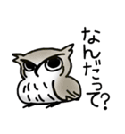 Funny bird stamp3（個別スタンプ：11）