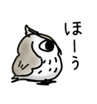 Funny bird stamp3（個別スタンプ：12）