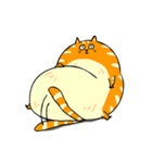 A fat orange cat（個別スタンプ：2）