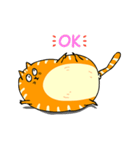 A fat orange cat（個別スタンプ：9）