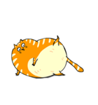 A fat orange cat（個別スタンプ：10）