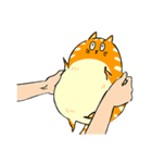 A fat orange cat（個別スタンプ：22）