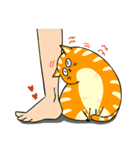 A fat orange cat（個別スタンプ：24）