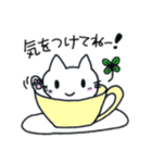 毎日使えるねこスタンプ（個別スタンプ：40）