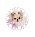 8匹の犬スタンプ（個別スタンプ：4）