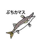 お魚さんスタンプ（個別スタンプ：9）