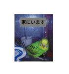 Birdstamp2（個別スタンプ：11）