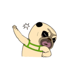 Mao Whatta Pug 4（個別スタンプ：18）