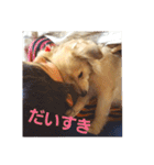 『ダックス犬！』癒やされわんこと仲間達（個別スタンプ：3）