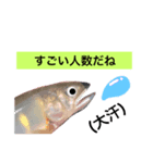 【大会対応版】鮎釣り中に使えるスタンプ！（個別スタンプ：10）