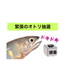 【大会対応版】鮎釣り中に使えるスタンプ！（個別スタンプ：11）