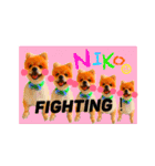 nikoの一日（ポメラニアン）（個別スタンプ：7）