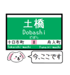 広島 横川線(8号) 白島線(9号) この駅だよ（個別スタンプ：6）