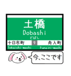 広島 横川線(8号) 白島線(9号) この駅だよ（個別スタンプ：24）