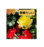 素敵な薔薇/バラの楽しみ（個別スタンプ：9）