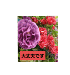 素敵な薔薇/バラの楽しみ（個別スタンプ：17）