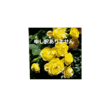 素敵な薔薇/バラの楽しみ（個別スタンプ：24）