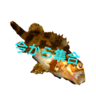 fishingボクジョウ（個別スタンプ：1）