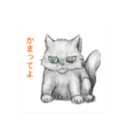 まこと君のお絵かきです（個別スタンプ：13）