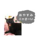 黒猫ラキの日常スタンプ其の2（個別スタンプ：5）