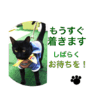 黒猫ラキの日常スタンプ其の2（個別スタンプ：10）