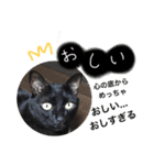 黒猫ラキの日常スタンプ其の2（個別スタンプ：14）