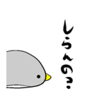 無表情ペンギン A（個別スタンプ：13）