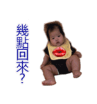 babyshan3（個別スタンプ：15）