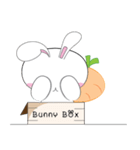 Bunny Box : Say Hi~（個別スタンプ：1）