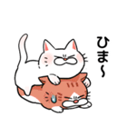 もちまるねこ（個別スタンプ：5）