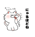 もちまるねこ（個別スタンプ：6）