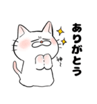 もちまるねこ（個別スタンプ：13）