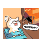 もちまるねこ（個別スタンプ：15）