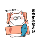 もちまるねこ（個別スタンプ：16）