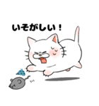 もちまるねこ（個別スタンプ：23）