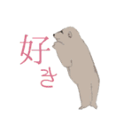 クマの可能性（個別スタンプ：10）