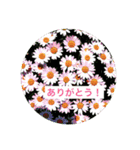 The flower series（個別スタンプ：2）